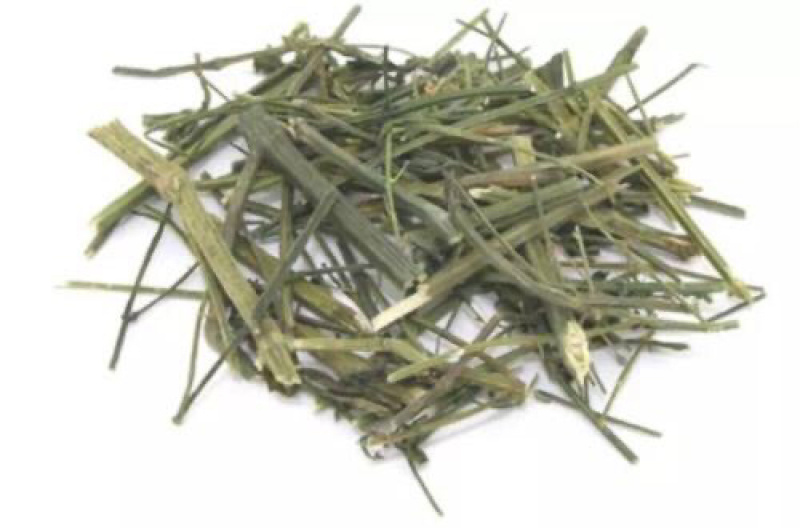 穿心莲穿心连一见喜苦胆草四方莲农家初选