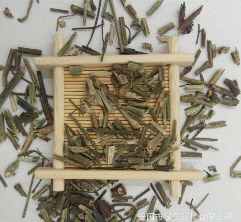 穿心莲穿心连一见喜苦胆草四方莲农家初选