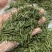竹叶青茶叶特级竹叶青茶叶礼盒包装特价竹叶青