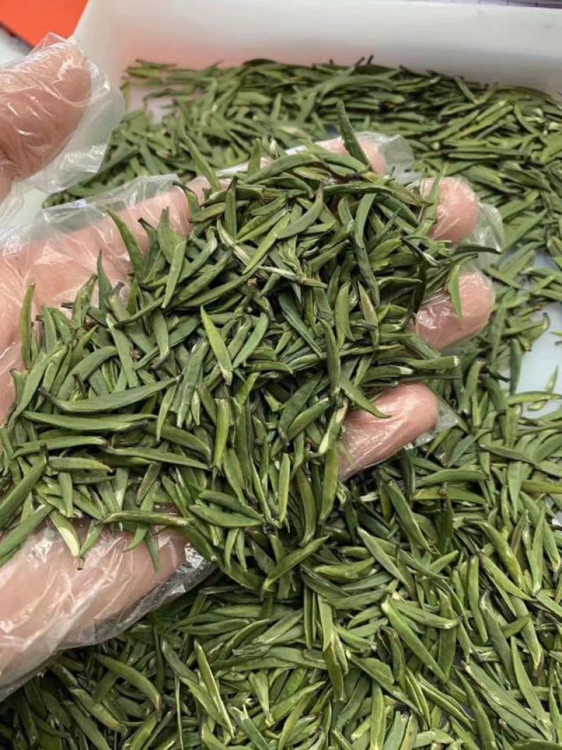 竹叶青茶叶特级竹叶青茶叶礼盒包装特价竹叶青
