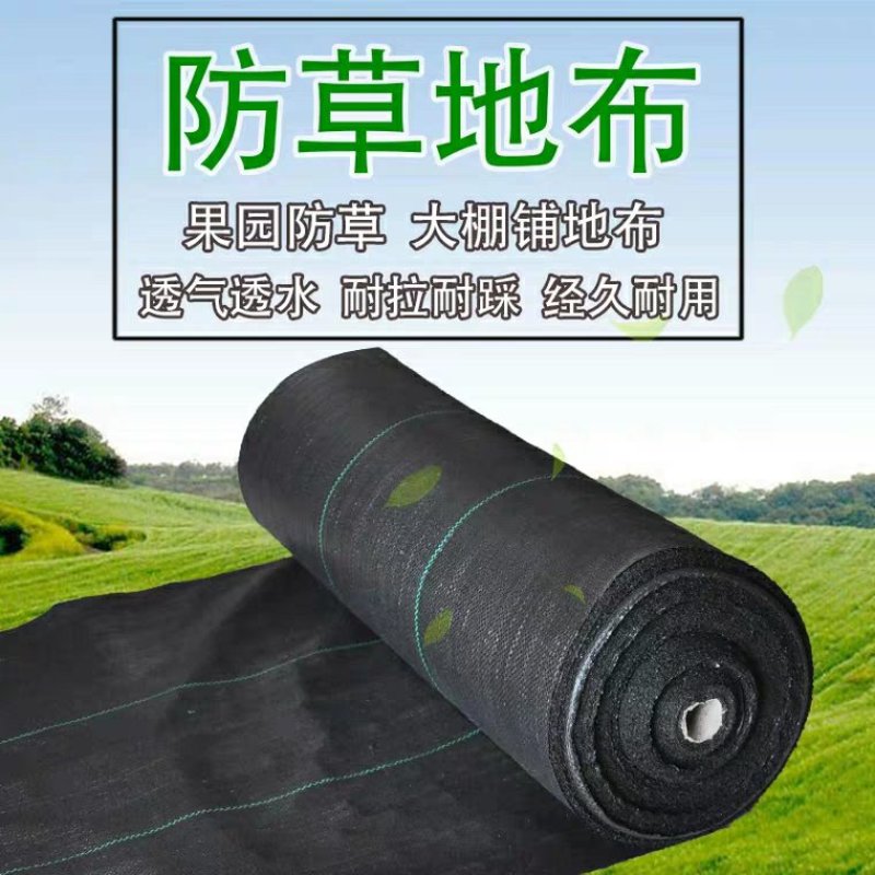 防草布园艺无纺布地布除草布盖草抑草地膜透气保湿可降解果树