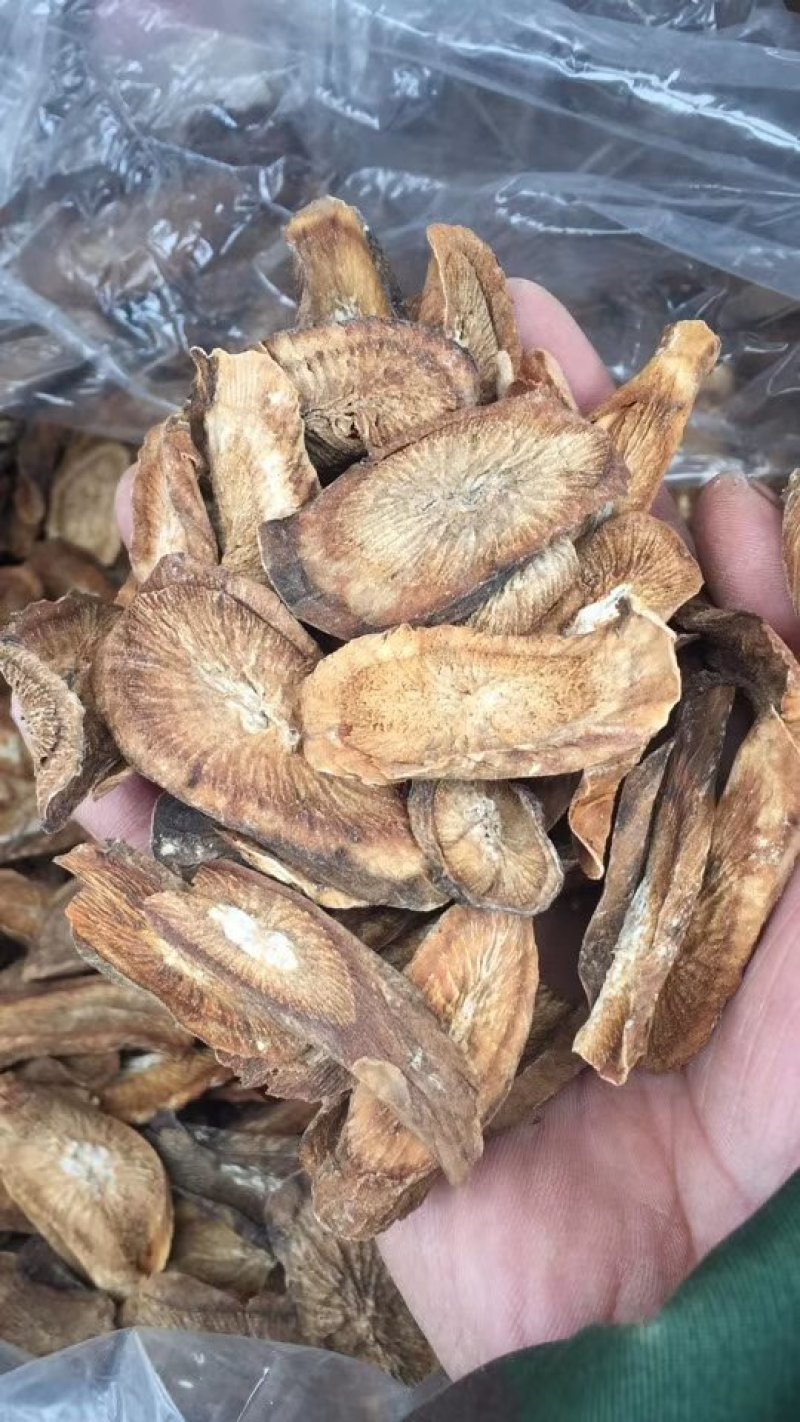 【产地直供】牛蒡根大力子黑风子中药专营