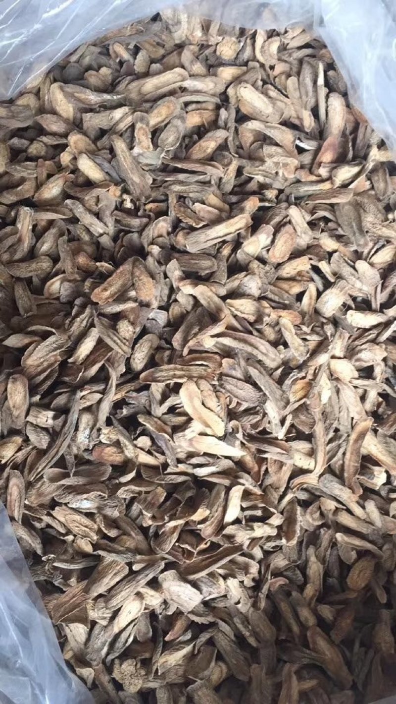 【产地直供】牛蒡根大力子黑风子中药专营