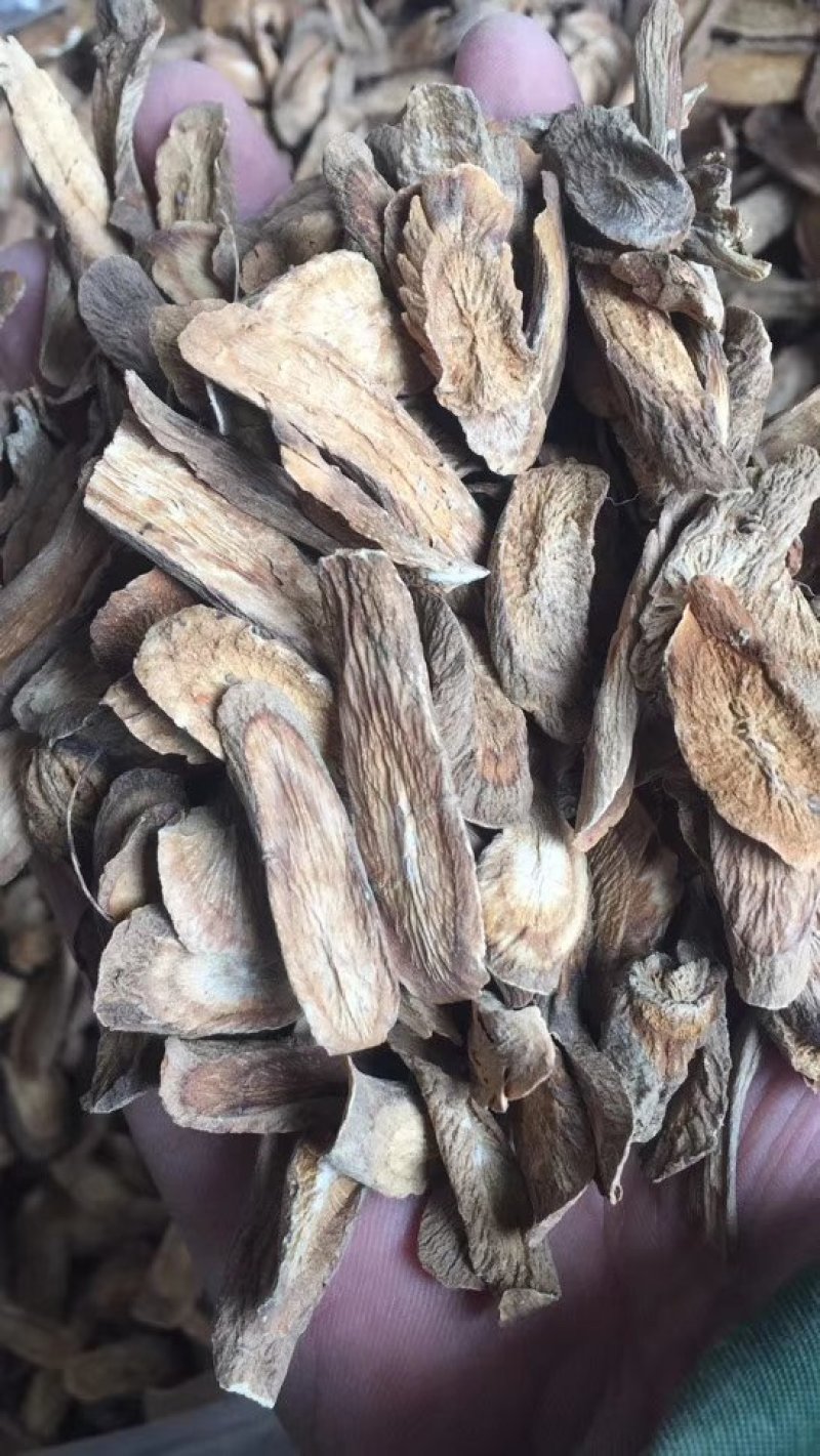【产地直供】牛蒡根大力子黑风子中药专营