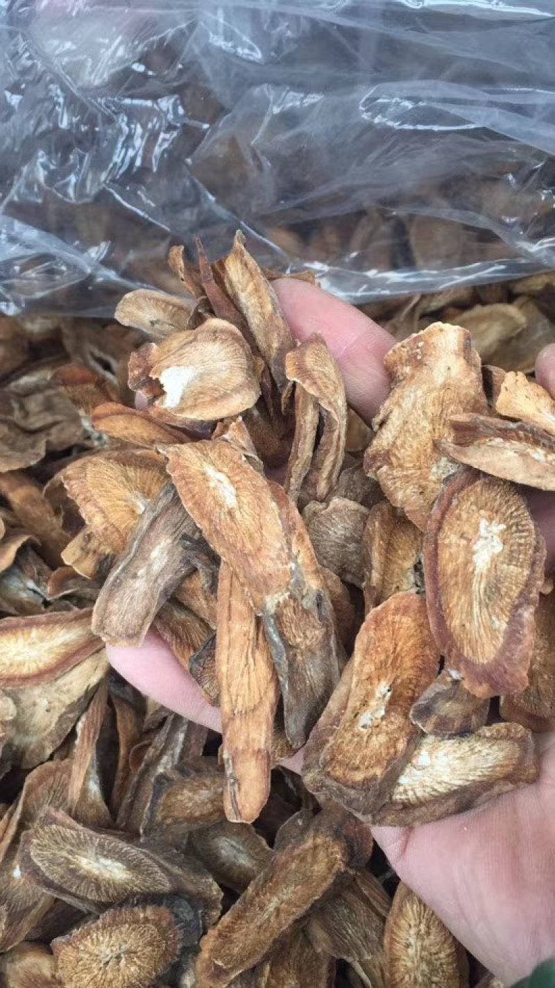 【产地直供】牛蒡根大力子黑风子中药专营