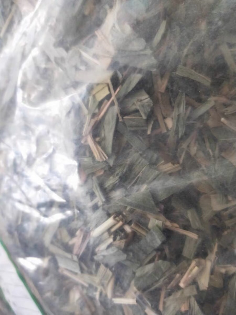 淡竹叶淡竹叶金竹叶中药材农家初选农副产品