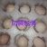 花斑鸡种蛋波兰斑点鸡受精蛋10个防震包装顺丰包邮