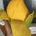 新品上架【越南玉芒】特价秒，，，，，杀，，，，