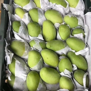 新品上架【越南玉芒】特价秒，，，，，杀，，，，