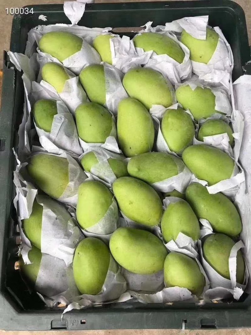新品上架【越南玉芒】特价秒，，，，，杀，，，，