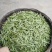 2021春茶头茶竹叶青