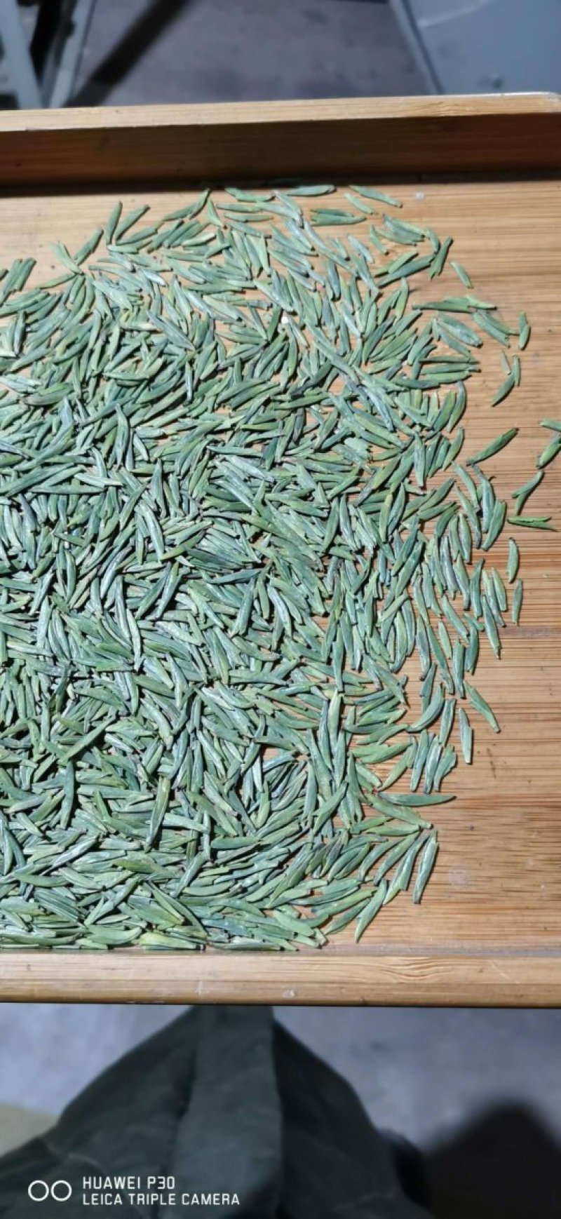 2021春茶头茶竹叶青
