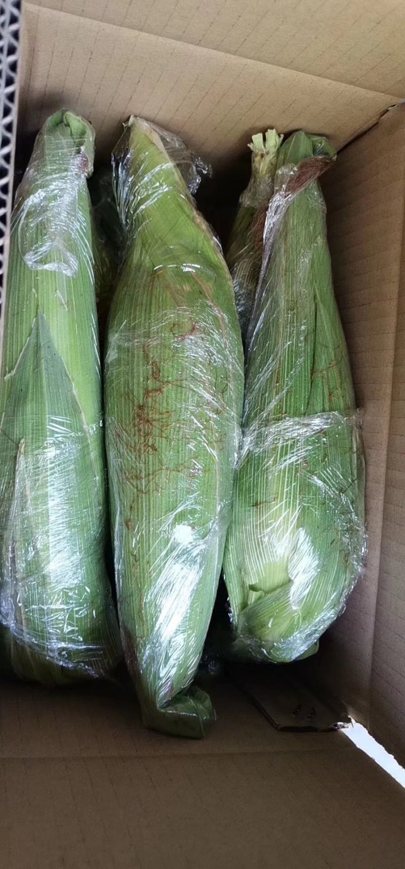 新品上架牛奶糯玉米8斤装，，，，，，，，，