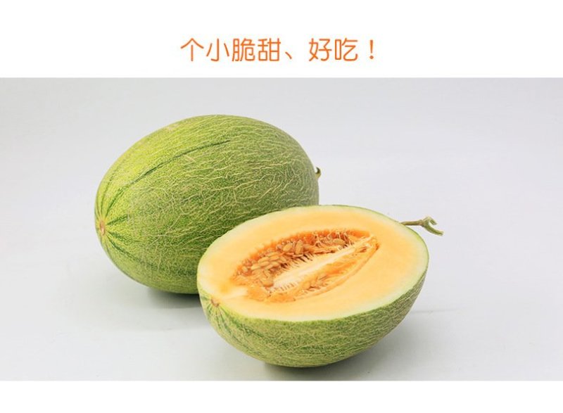 【支持一件代发】海南西州蜜瓜，脆甜可口，甜度高