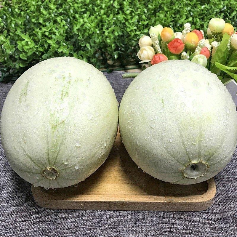 【支持一件代发】海南玉菇甜瓜，软蜜瓜，热卖款