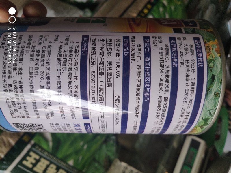 美利坚油霸向日葵种子