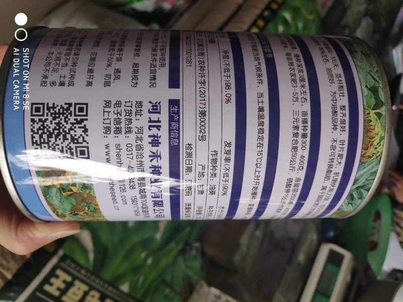 美利坚油霸向日葵种子