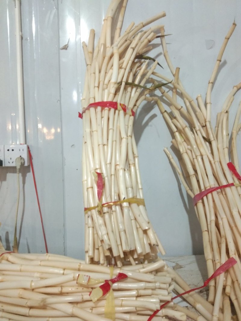 新鲜芦根，手工大马蹄