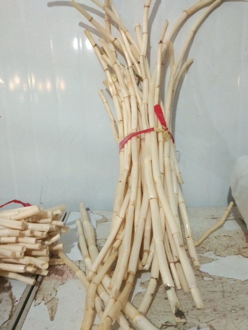 新鲜芦根，手工大马蹄