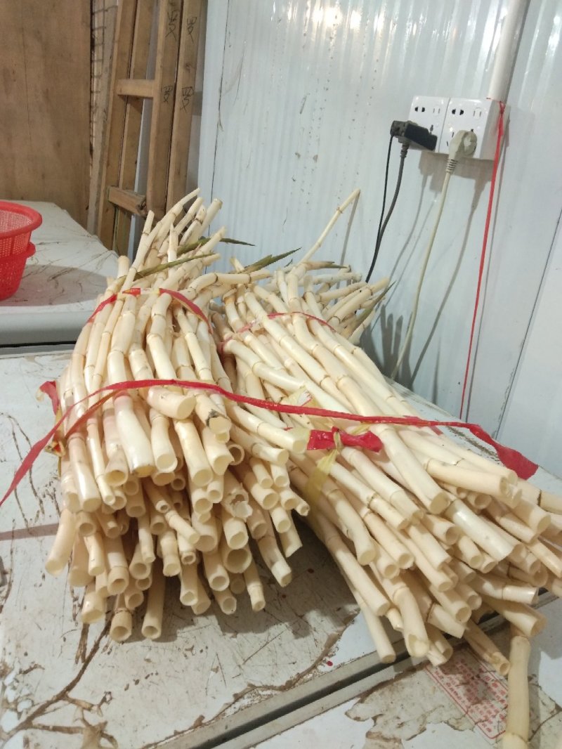 新鲜芦根，手工大马蹄
