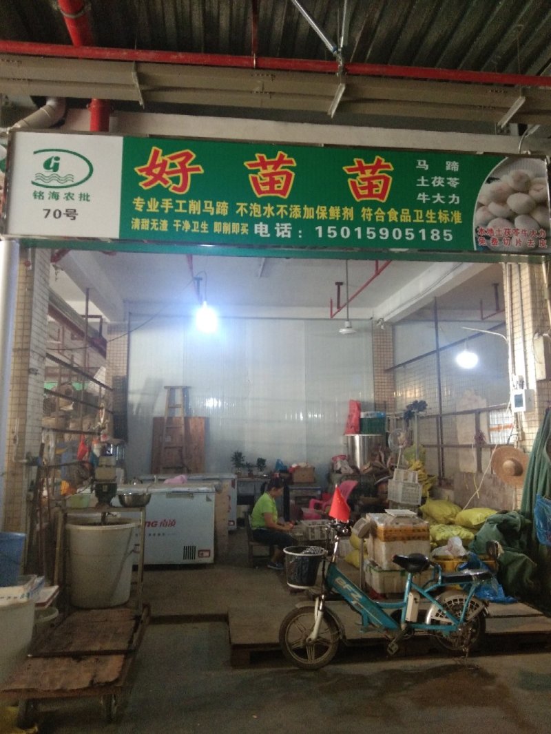 新鲜芦根，手工大马蹄