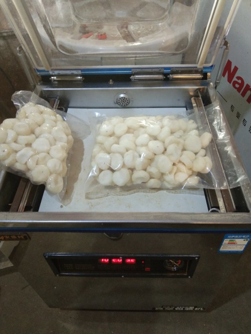 新鲜芦根，手工大马蹄