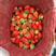 四季草莓种子全国适应种植，一亩地1斤种子提供技术
