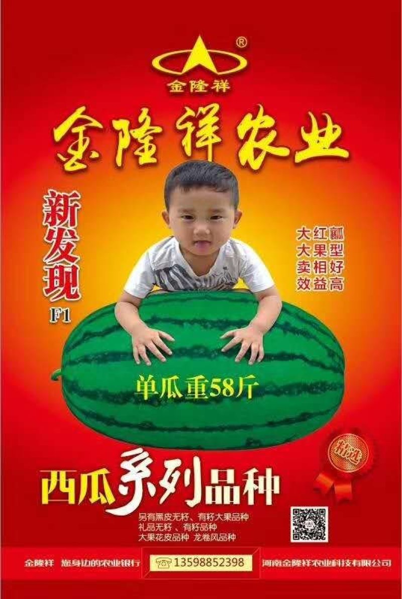 新发现大籽西瓜种子/50克/380粒大花皮全国包邮