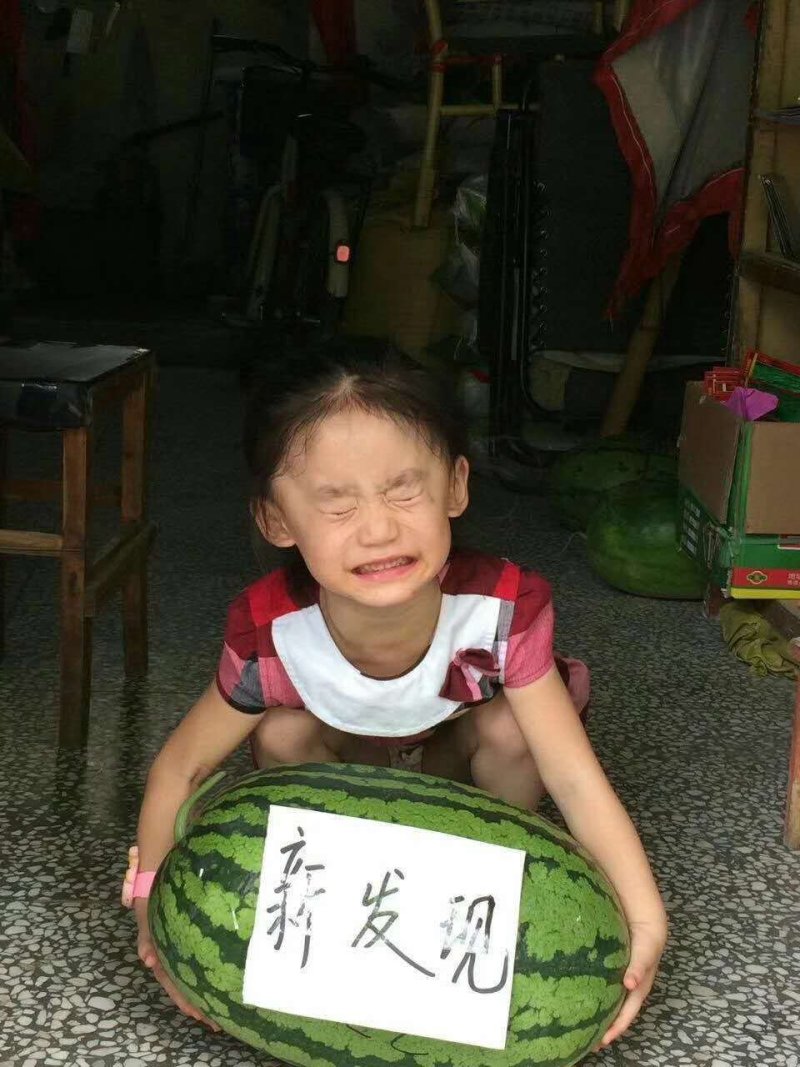 新发现大籽西瓜种子/50克/380粒大花皮全国包邮