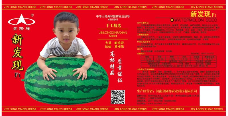 新发现大籽西瓜种子/50克/380粒大花皮全国包邮