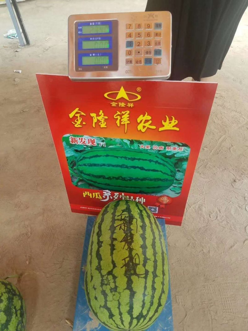 新发现大籽西瓜种子/50克/380粒大花皮全国包邮