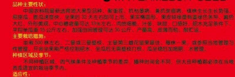 新发现大籽西瓜种子/50克/380粒大花皮全国包邮
