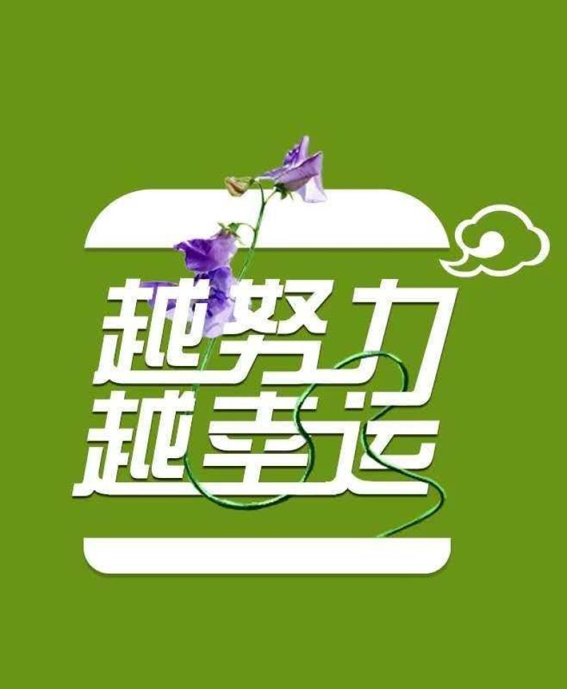 源头古阿井阿胶糕（男士篇）运河健康文化，本色品质生活