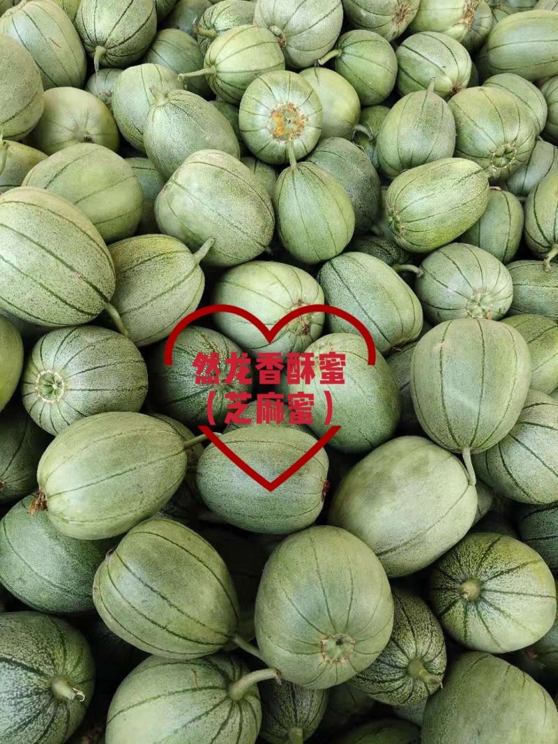 然龙香酥蜜（芝麻蜜）甜瓜种子