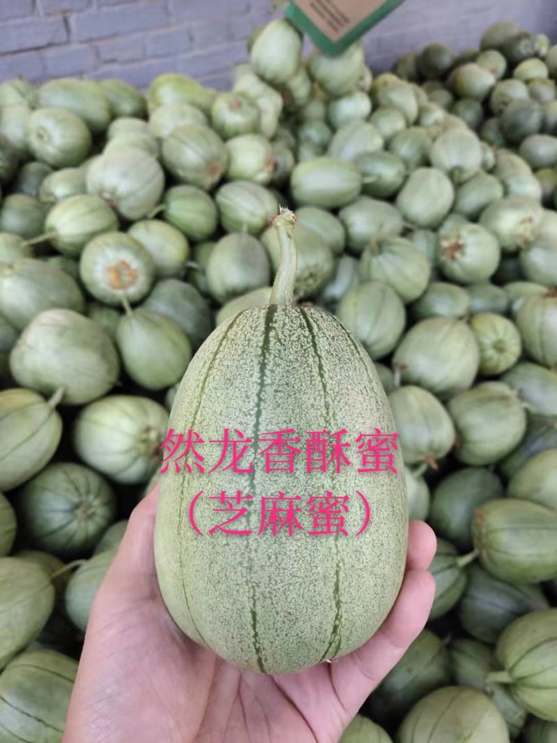 然龙香酥蜜（芝麻蜜）甜瓜种子