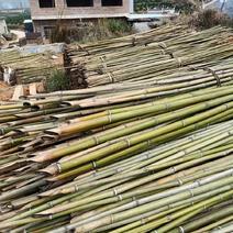大量产地金竹直供，量大从优