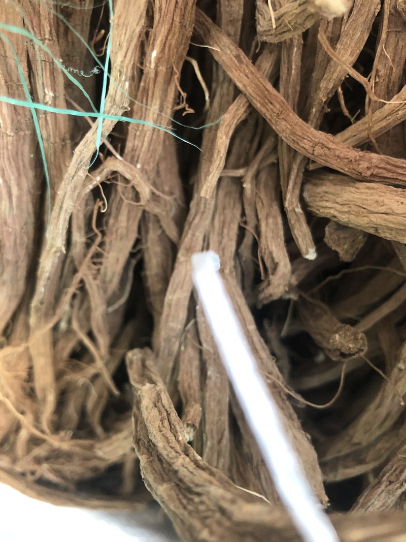 家种续断，开始产新，有需要的可以预定了