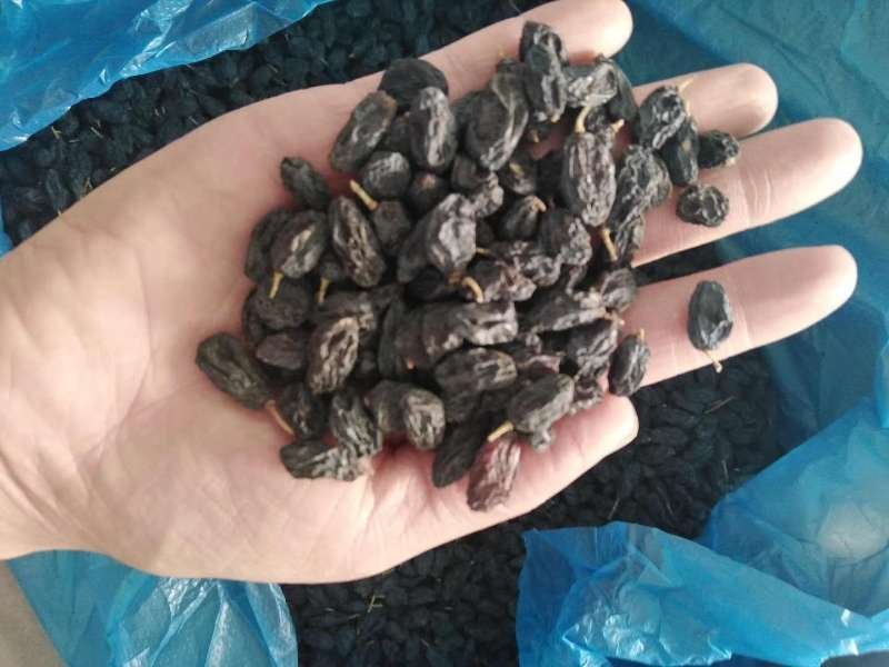 正宗新疆特产香妃黑加仑葡萄干