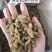 正宗新疆特产香妃黑加仑葡萄干