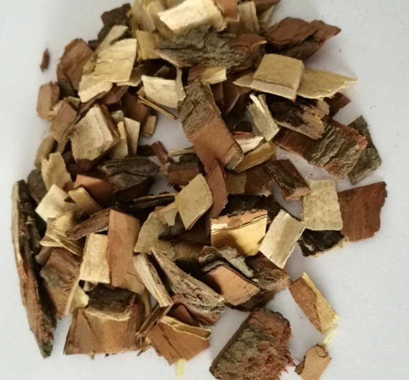 苦楝皮，苦楝树新皮。
