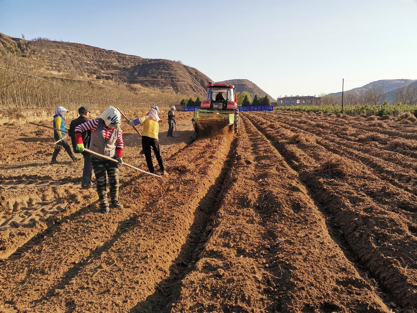 黄芪饲料混合设备图