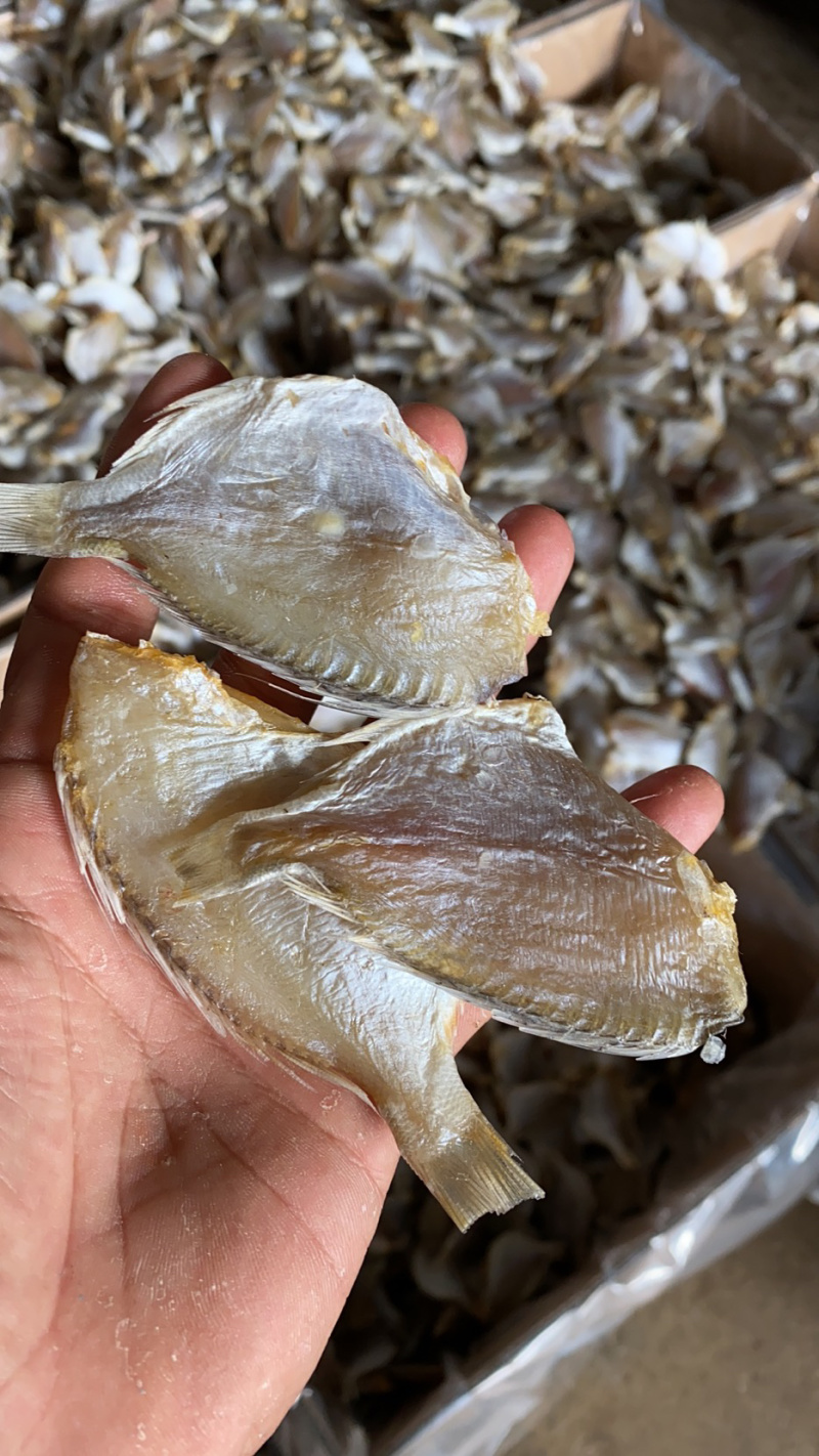 红腊鱼雕鱼淡盐晒制北海海鲜干货