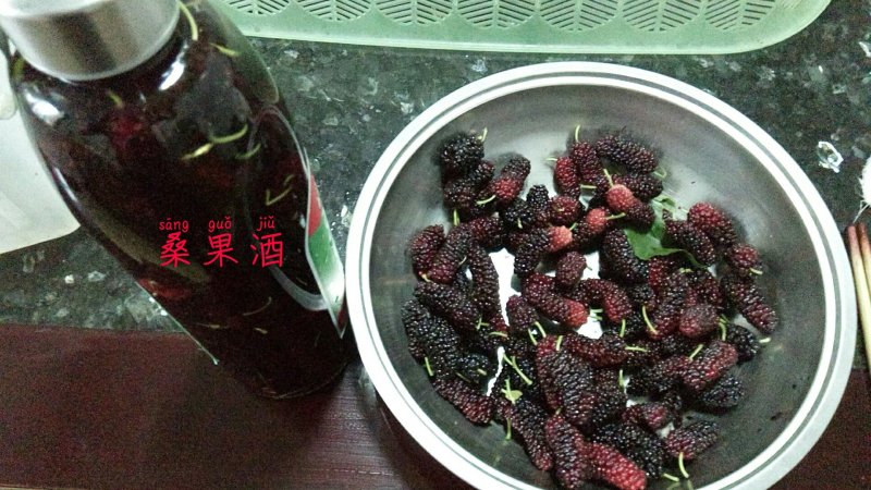 【荐】桑树苗无籽大十两年苗果桑苗台湾四季桑葚苗产地发货