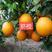 纽荷尔脐橙苗，口感好，个头大，产量高，皮薄，保湿发货，