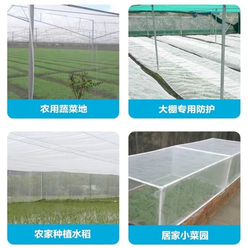 防虫网大棚蔬菜果树果园尼龙防虫纱网青蛙养殖围网