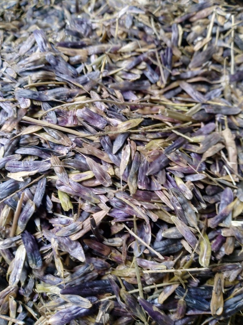 丹皮，牡丹苗，知母，板蓝根种籽，白芍芽等等