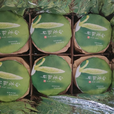 白豪银针月光白茶针饼