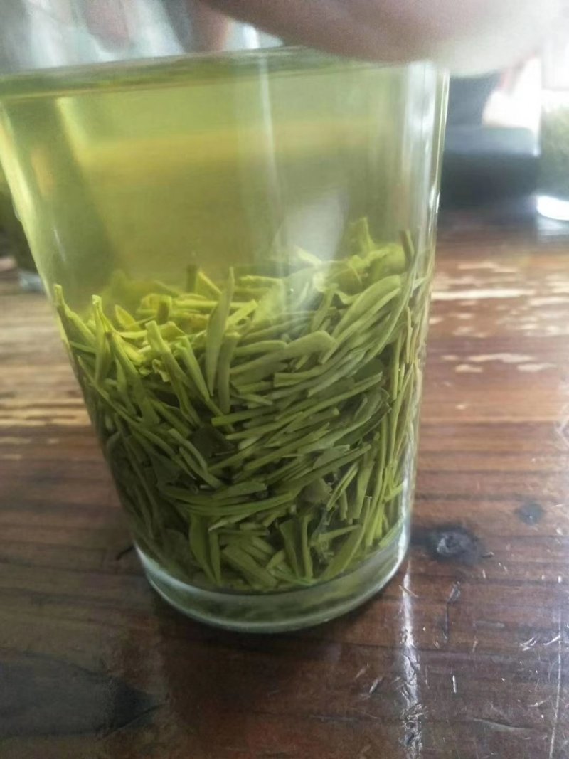 包邮信阳毛尖小芽，口感清香，提神养精，量大从优，全国发货