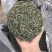 包邮信阳毛尖小芽，口感清香，提神养精，量大从优，全国发货