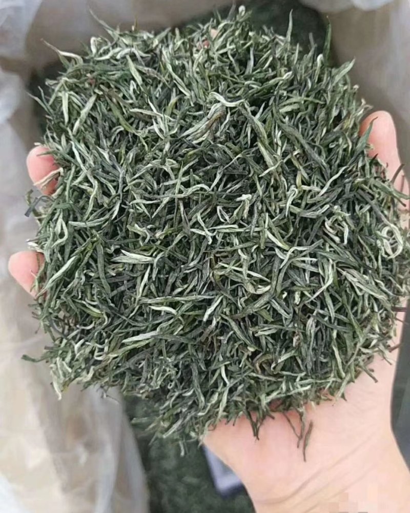 包邮信阳毛尖小芽，口感清香，提神养精，量大从优，全国发货
